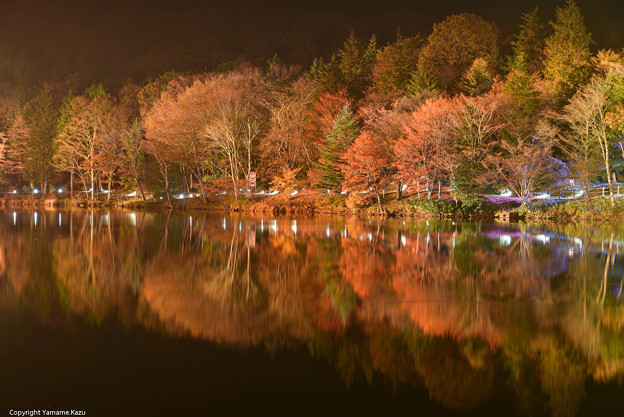 茶臼山高原の紅葉