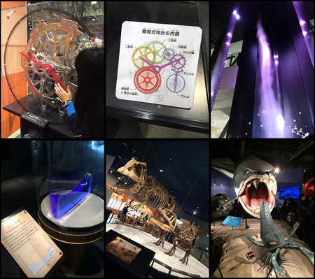 科学館 展示物