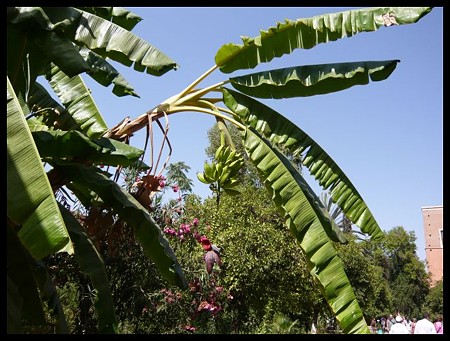 P1000425
