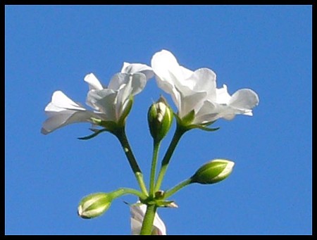 P1660571