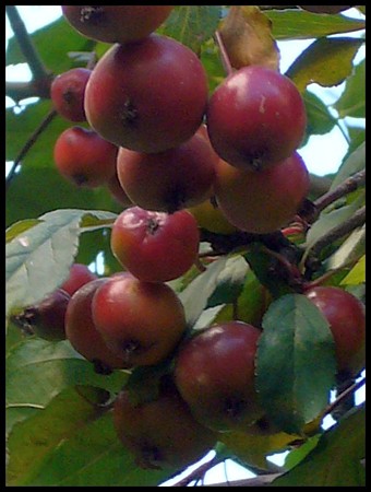 P1730997