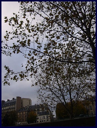 P1810308