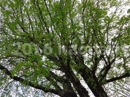 image087