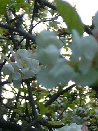 P1510216