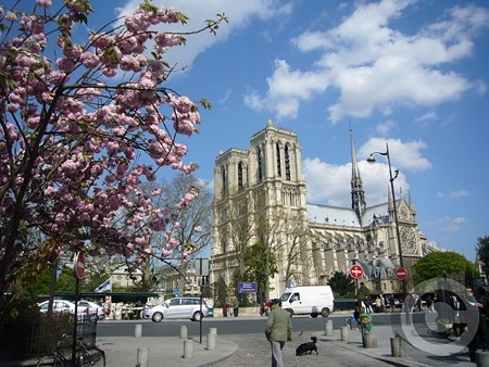 P1520600