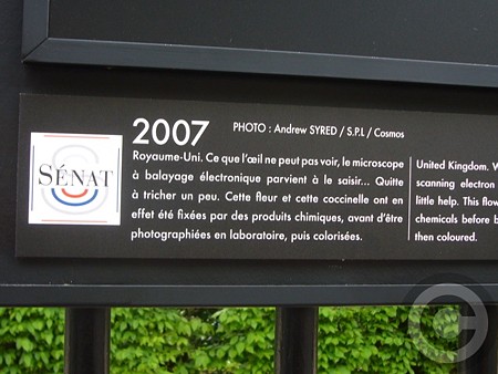 P1530604