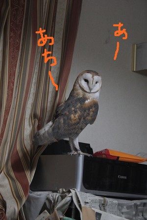 mame H26.7.21 2