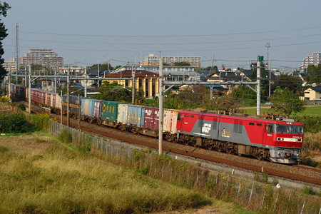 DSC_5551