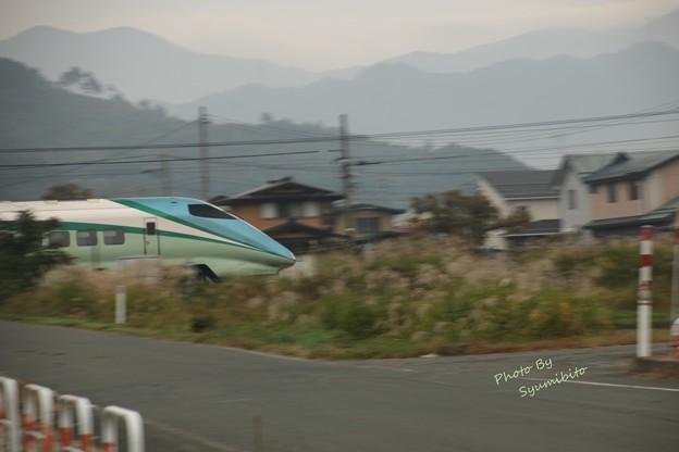 ニュー つばさ