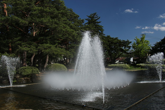 長井市 白つつじ公園 (2)