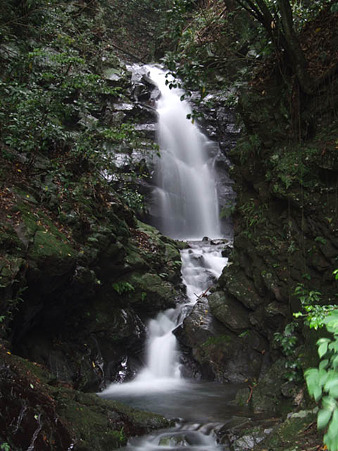 山原大滝　2011.6.12