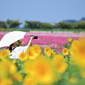 彩戯。。。