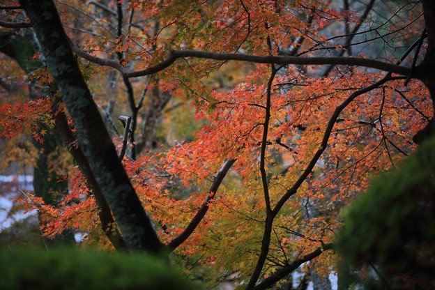 Photos: 7F1A2089