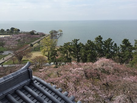 20160411長浜城?