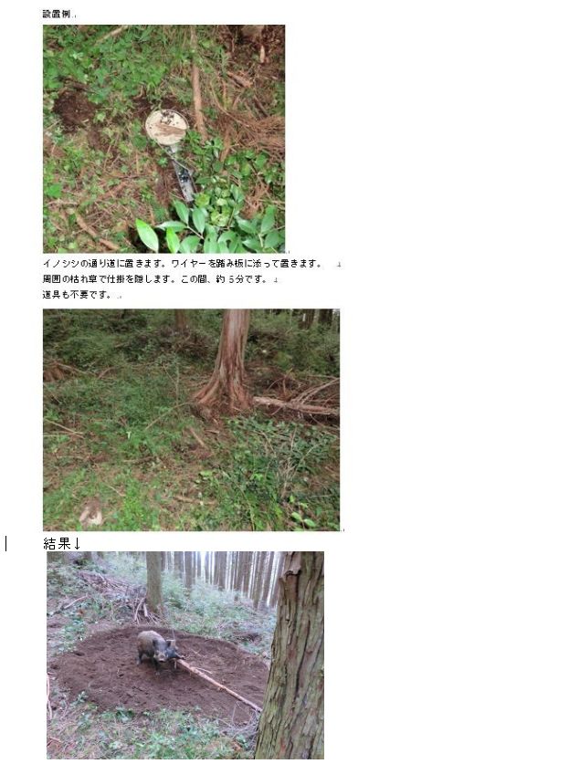 いいい