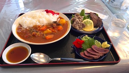 鹿カレー@松風
