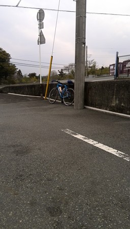 孤独な茶利。