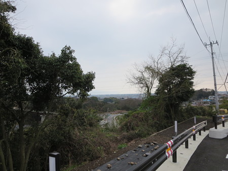 高台から駿河湾を望む