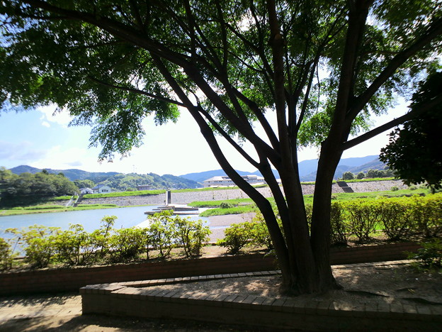 公園の影。