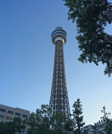 zIMG_2596