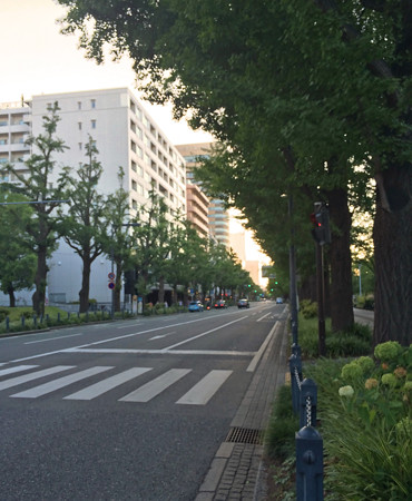 zIMG_2597