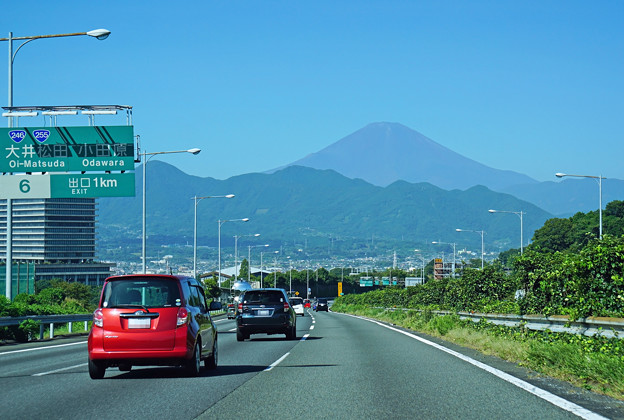 写真: zDSC02215