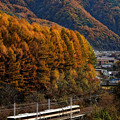 木曽路を往く。