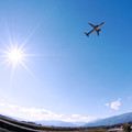 イルカ、空を飛ぶ？！