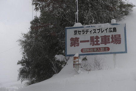 SDIM0282