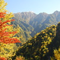 Photos: 秋景色