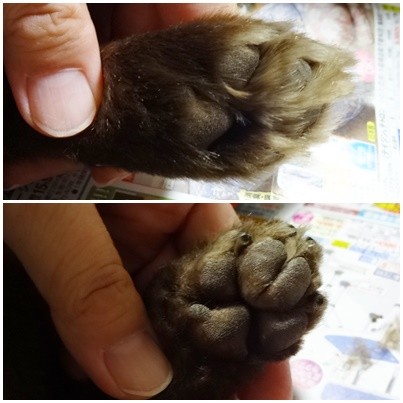 2014081202