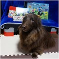 Photos: 2016020716