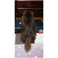 Photos: 2016030503