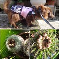 Photos: 2016051604