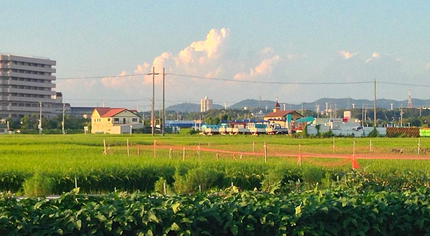 発達した入道雲 - 2