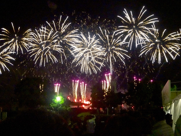 名港水上芸術花火 2015 No - 26