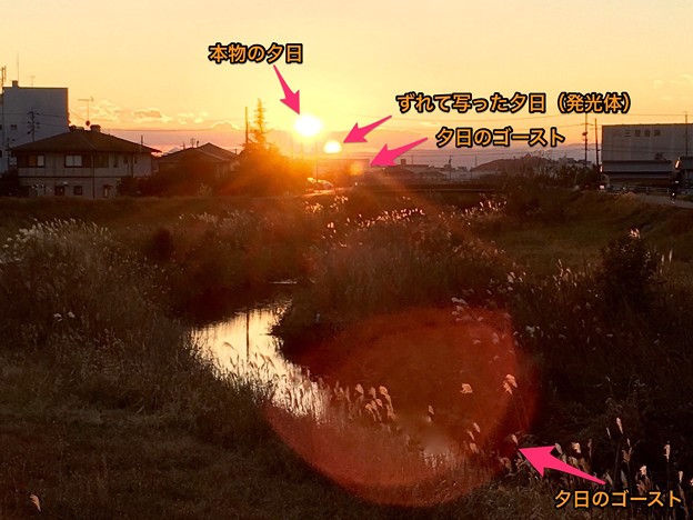 夕日の写真に写ったゴースト現象