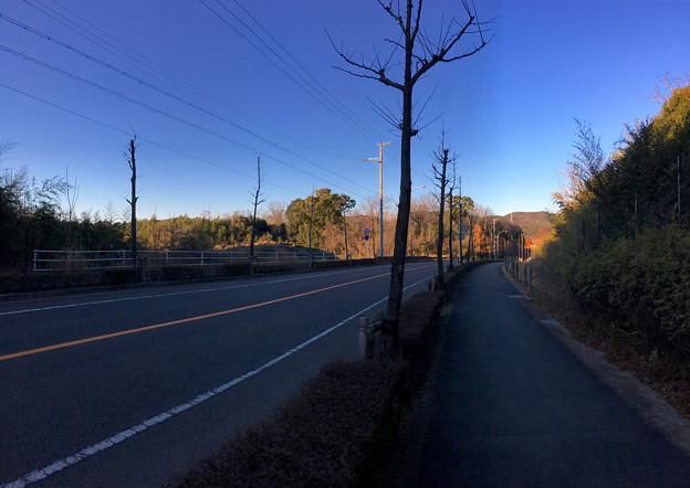 山下しずおが公約違反して勝手に土地の一部を売却しようとしてる、小牧市農業公園予定地 - 1