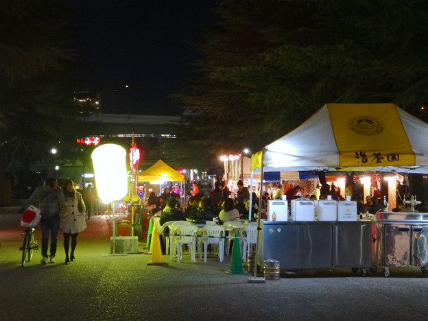 夜の鶴舞公園 花まつり 16 No 13 写真共有サイト フォト蔵