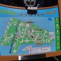 Photos: 帯zoo (1)