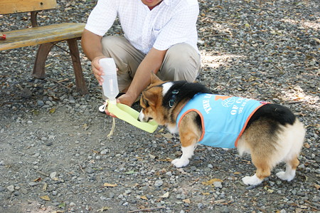 DSC01270