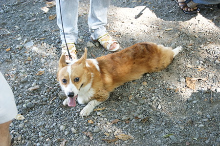 DSC01299
