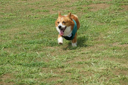DSC01739