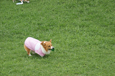 DSC02333