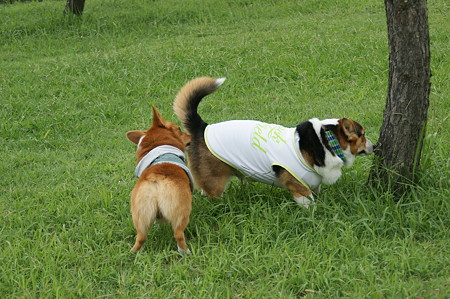 DSC02350