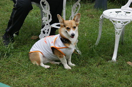 DSC02450