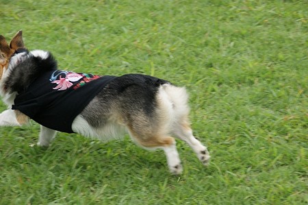 DSC02527