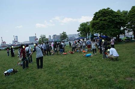 DSC05701