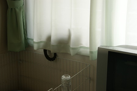 DSC02608