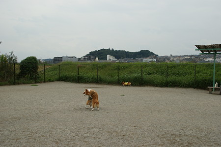 DSC02723